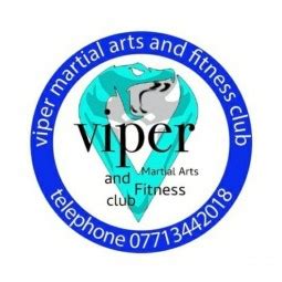 Viper Martial Arts and Fitness